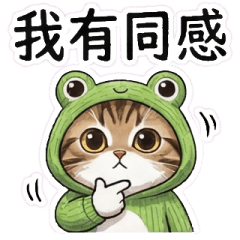 可愛蛙裝貓咪日常