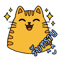 Satang_20260130100215