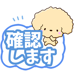 Message of Toy poodle apricot