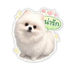 มะพร้าวปอมตัวฟูสุดคิ้วท์