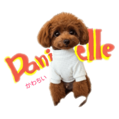 akane_20260129011310