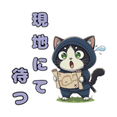 忍びのニャン丸：まいにち全力修行中！