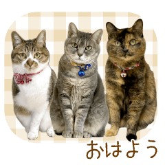 anko,azuki and ohagi's Sticker2