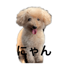 Kinako_20260129030128