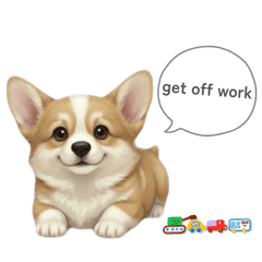 Corgi Chunmei's Daily Life