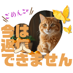 haruka_20260129114429