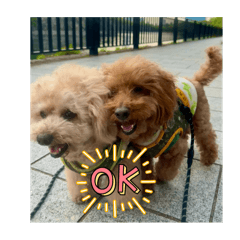 mickey_20260130153219