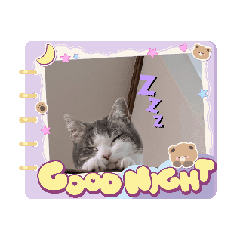 momoka_20260130194246