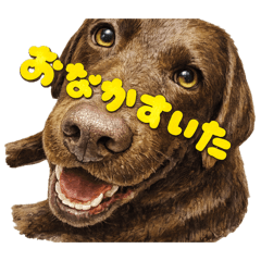 teruteru_20260130124957