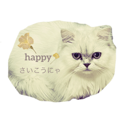 misato_20260130171124