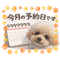 Mayumi_20260130173457