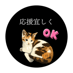 Mone chan_20260129121521