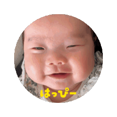 ruppi_20260131095603