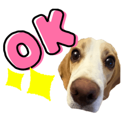 the Will of D_20260129125010