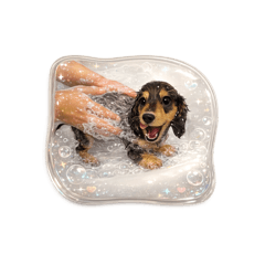 kanatim_20260130134105