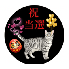 Mone chan_20260129140326