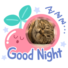 三百萬幸福胖虎1