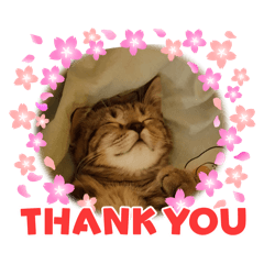 三百萬幸福胖虎2