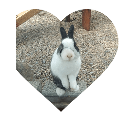 我家有個調皮搗蛋的表妹