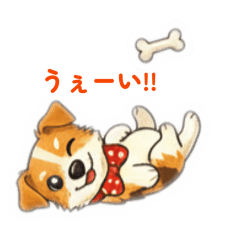 Mikan_20260130164717