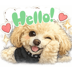 ririy_20260130162713