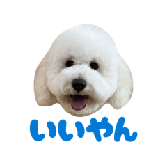 Himehimeko_20260130183450