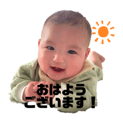 mihomaru_20260130163450