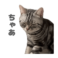 harun_20260130164655