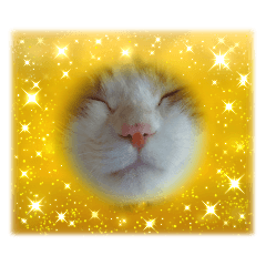 pankiti_20260130155421