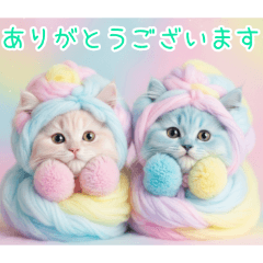 PAKAMOGOLY_20260130184645