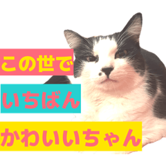 Ramsey mom_20260130183923