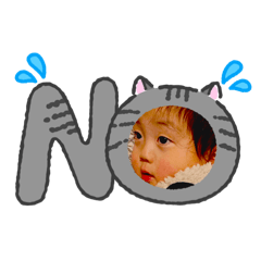 iotowa_20260129144613