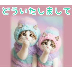 PAKAMOGOLY_20260130184420