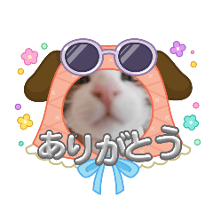 nosuke_20260130142451