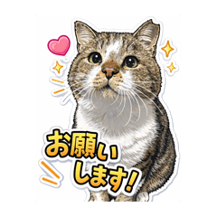 sanae_20260130142927