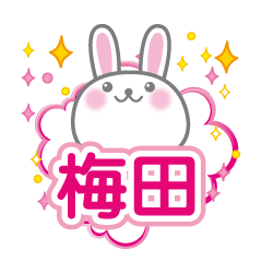 Cute Rabbit Conversation for umeda