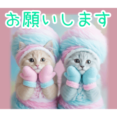 PAKAMOGOLY_20260130150704