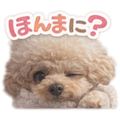 Mayumi_20260130174854