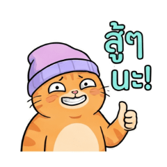 The Cute Orange Cat and Its Viral Slang