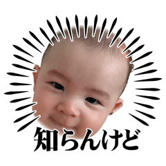 kanata_20260130161809