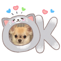 mugi_2026013019063