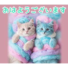 PAKAMOGOLY_20260130184907