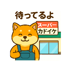 shibatan_20260130193607