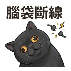 成年後的靜音火山