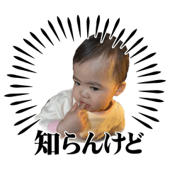 gyo_20260130163805