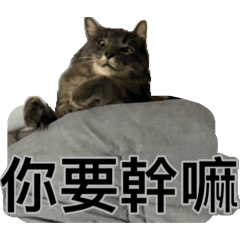 kimi & may happy life