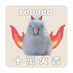 2026超吉摳愛 實用貼