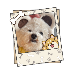 可愛小狗勾（牙籤）