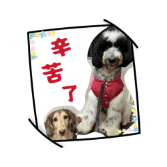 Cute stickers for babies