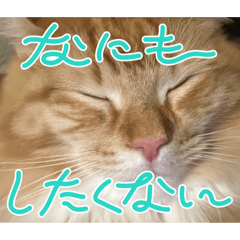 mirai_20260130203032